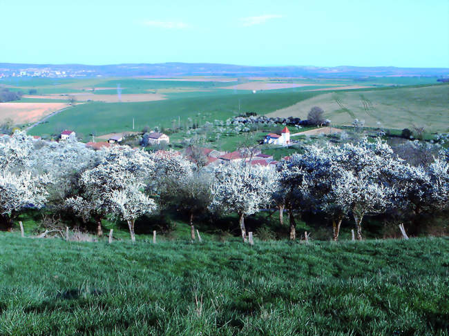 Le village au printemps - Marthemont (54330) - Meurthe-et-Moselle