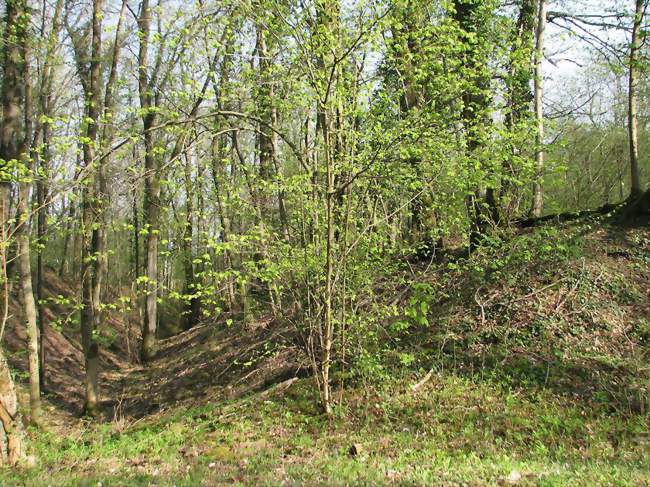 Vestiges du camp d'Affrique - Messein (54850) - Meurthe-et-Moselle