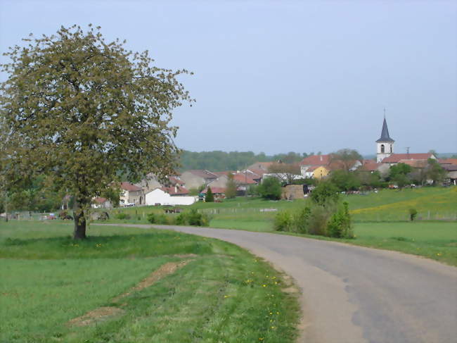 Vue générale - Rogéville (54380) - Meurthe-et-Moselle