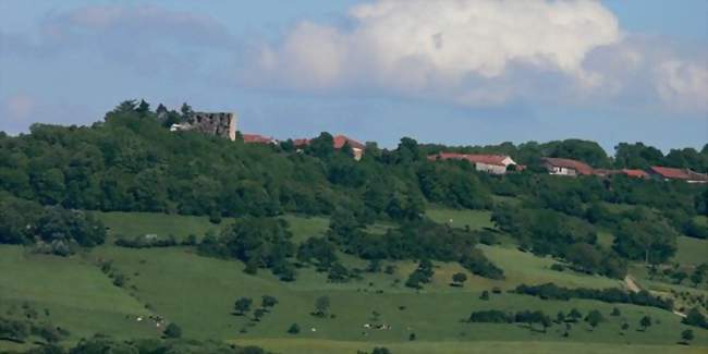 Panorama sur Vaudémont - Vaudémont (54330) - Meurthe-et-Moselle