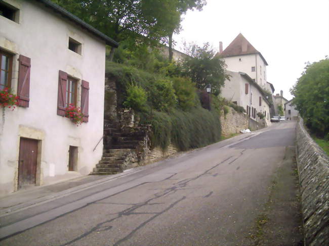 La maison forte - Villey-Saint-Étienne (54200) - Meurthe-et-Moselle