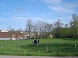 photo Bralleville