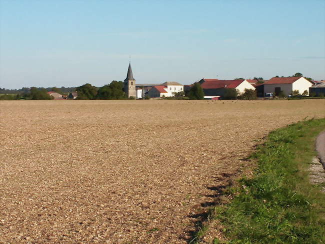 Badonvilliers vu depuis la route de Rosières - Badonvilliers-Gérauvilliers (55130) - Meuse