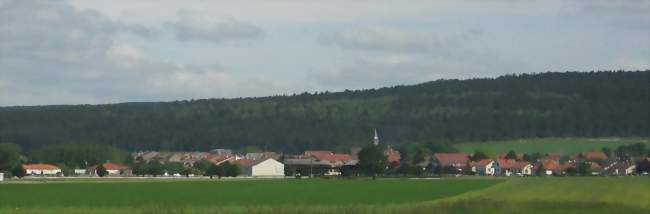 Mécanicien / Mécanicienne agricole