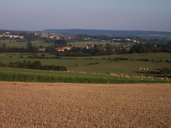 Vue sur le village de Cesse depuis les hauts de Luzy-Saint-Martin - Cesse (55700) - Meuse