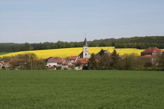 Vue générale - Dainville-Bertheléville (55130) - Meuse