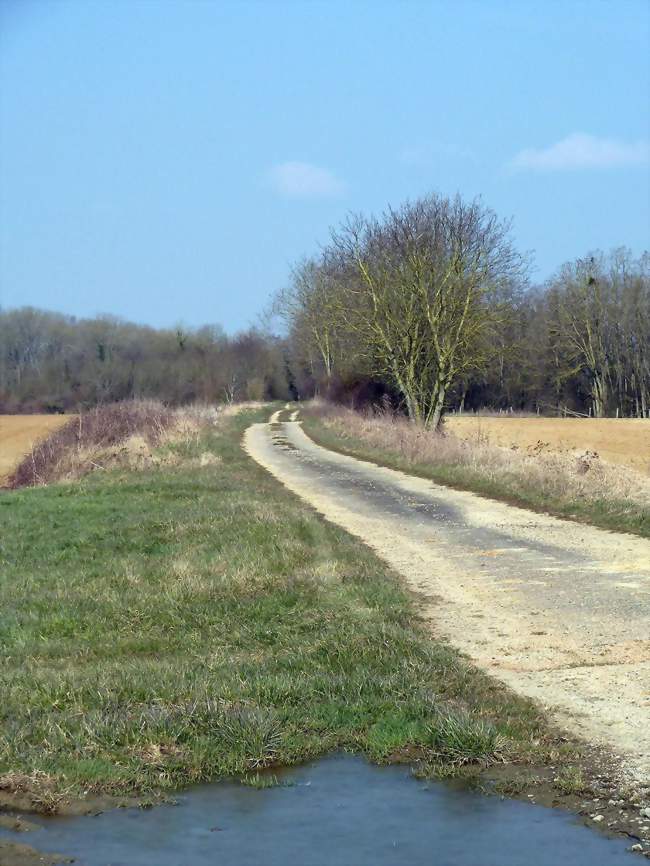 voie romaine Reims Toul à Laimont - Laimont (55800) - Meuse