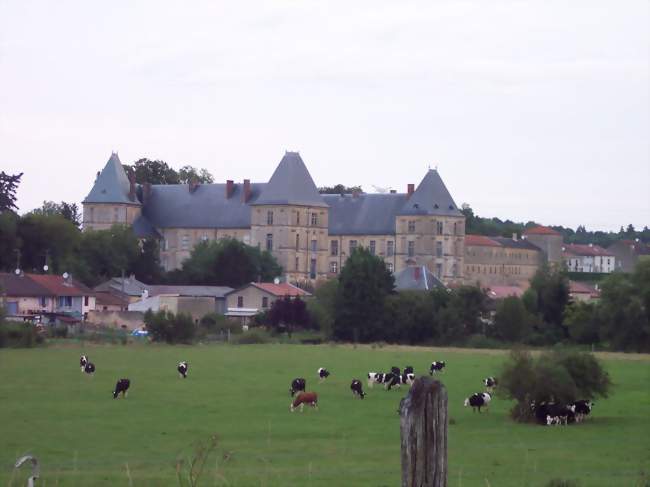 Vue sur le château et le village de Louppy-sur-Loison - Louppy-sur-Loison (55600) - Meuse