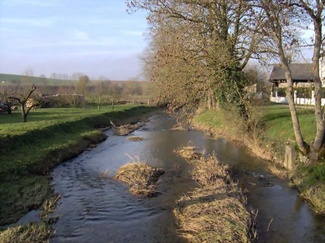 La Saulx à Ménil-sur-Saulx - Ménil-sur-Saulx (55500) - Meuse