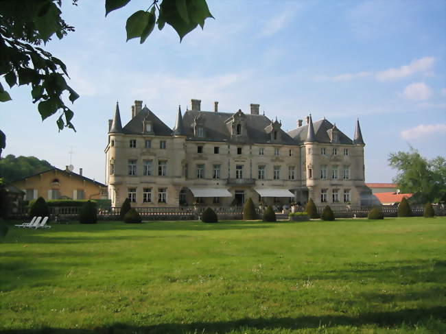Le château des Monthairons - Les Monthairons (55320) - Meuse
