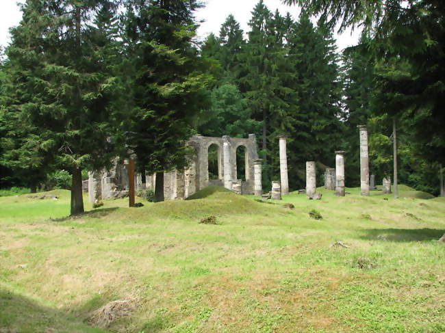 Ruines de l'église - Ornes (55150) - Meuse