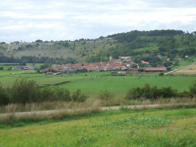 Vue du village depuis la Tête des Rousseaux - Pagny-la-Blanche-Côte (55140) - Meuse