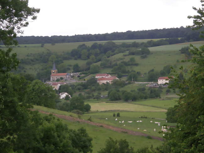 Vue générale du village - Réville-aux-Bois (55150) - Meuse