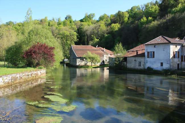 La Saulx à Rupt-aux-Nonains - Rupt-aux-Nonains (55170) - Meuse