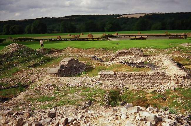 Ruines du temple de Mazeroie - Saint-Amand-sur-Ornain (55500) - Meuse