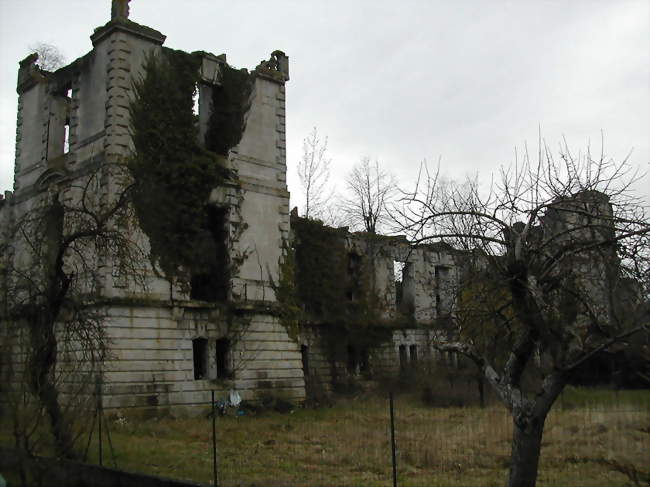 Le Château de Sampigny, dit d'Henriette de Lorraine - Sampigny (55300) - Meuse