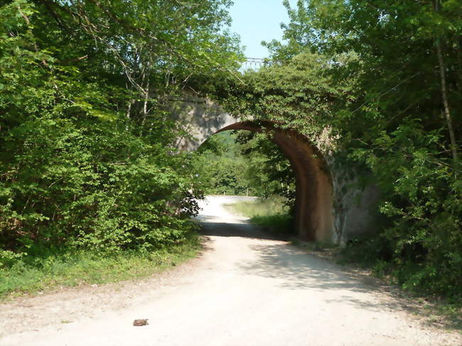 Tunnel de la ligne de chemin de fer désaffectée de Sorcy à Montier-en-Der - Sauvoy (55190) - Meuse