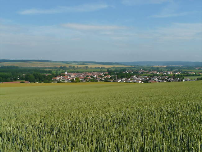 Vue du village depuis la colline de Châtel-Saint-Jean - Sorcy-Saint-Martin (55190) - Meuse
