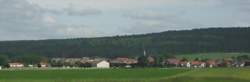 photo Conseiller / Conseillère agricole