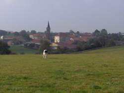 photo Mandres-en-Barrois