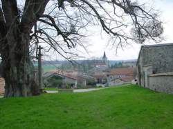photo Saulvaux