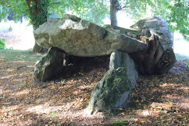 L'allée couverte de Kergonfalz - Bignan (56500) - Morbihan