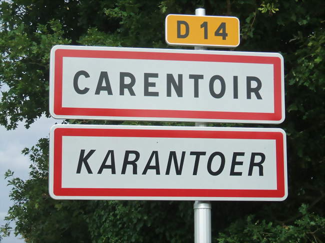Chauffeur / Chauffeuse de poids lourd