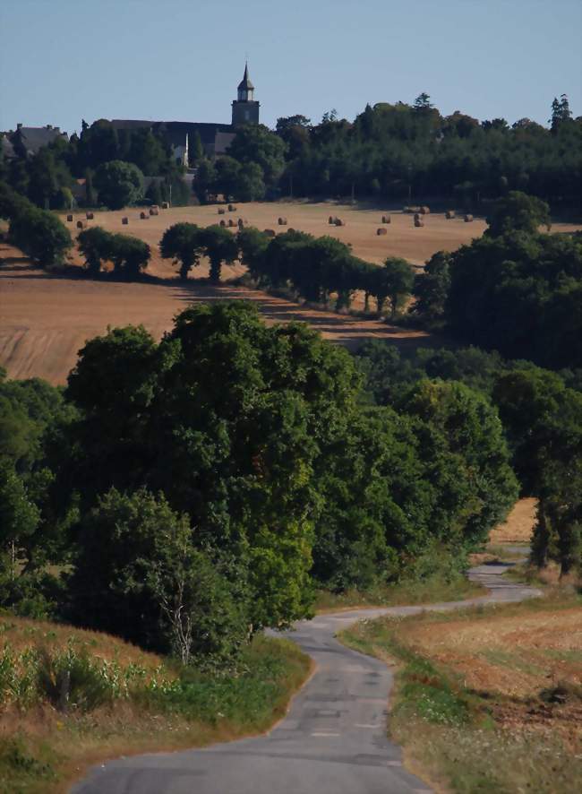 Route menant vers le bourg - Caro (56140) - Morbihan