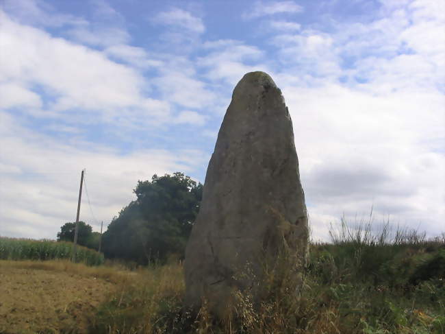 Le menhir de Camblot - Ménéac (56490) - Morbihan