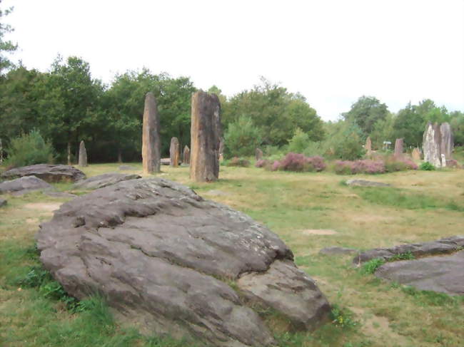 Visite des menhirs - balades et visites