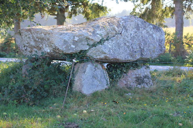 Le dolmen de Kermorvant - Moustoir-Ac (56500) - Morbihan