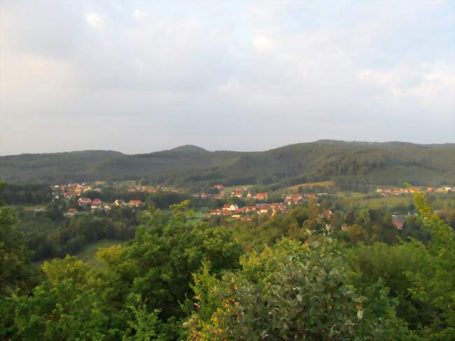 Vue sur le village prise du château du Ramstein - Baerenthal (57230) - Moselle