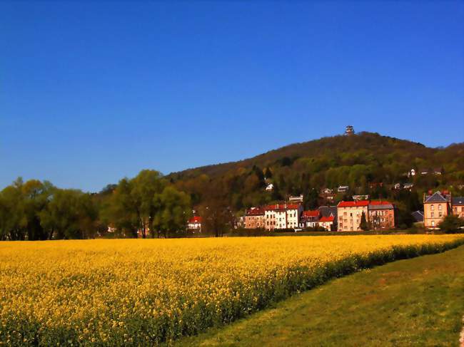 Vue sur Le-Ban-Saint-Martin et le mont Saint-Quentin - Le Ban-Saint-Martin (57050) - Moselle