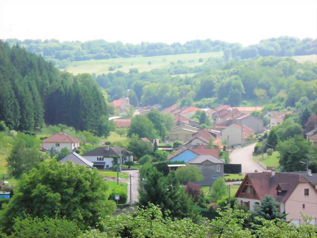 Vue sur Bisten - Bisten-en-Lorraine (57220) - Moselle