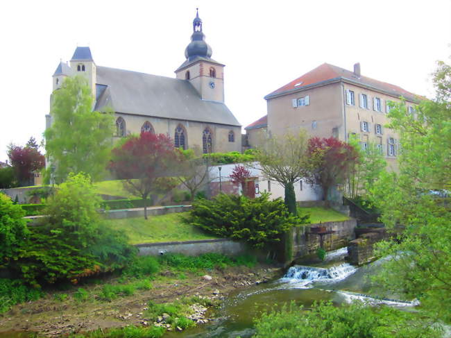 Église abbatiale Sainte-Croix - Bouzonville (57320) - Moselle