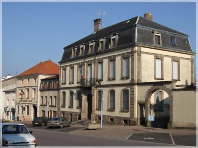 La sous-préfecture et la mairie - Château-Salins (57170) - Moselle