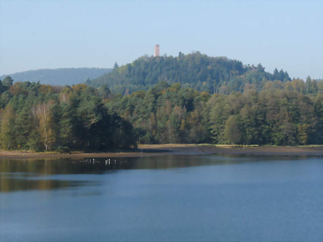 L'étang de Hanau et le château de Waldeck - Éguelshardt (57230) - Moselle