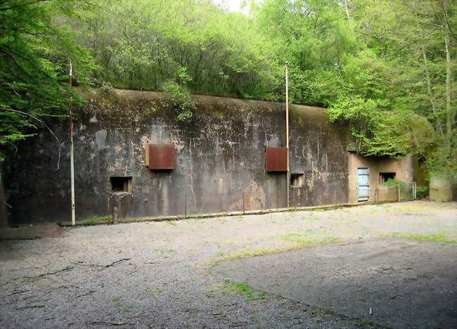 Abri du Zeiterholz, sur l'ancienne Ligne Maginot - Entrange (57330) - Moselle