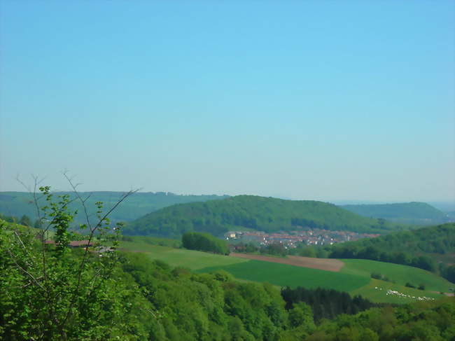 Le village depuis les hauteurs de Coume - Falck (57550) - Moselle