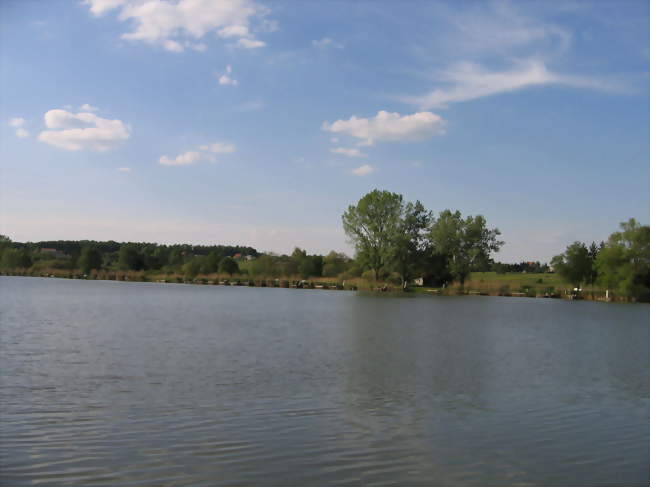 L'étang de Farschviller - Farschviller (57450) - Moselle