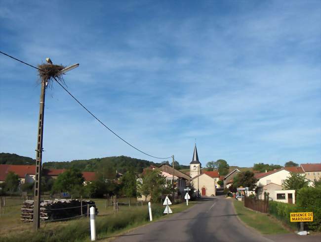 Le village - Harprich (57340) - Moselle