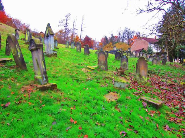 Le cimetière juif - Hellering-lès-Fénétrange (57930) - Moselle