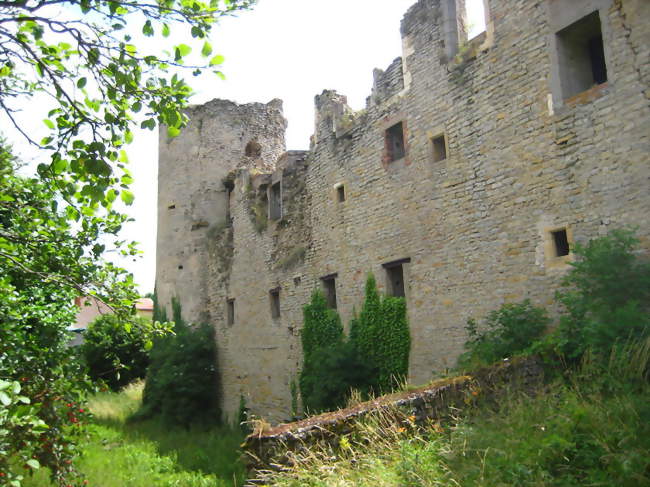 Vestiges du château - Louvigny (57420) - Moselle