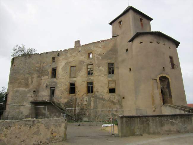 Le château - Luttange (57935) - Moselle