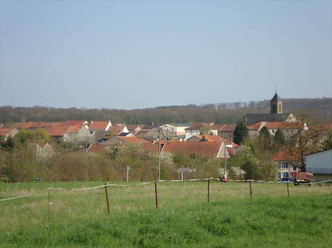 Vue générale du village de Metzeresche - Metzeresche (57920) - Moselle