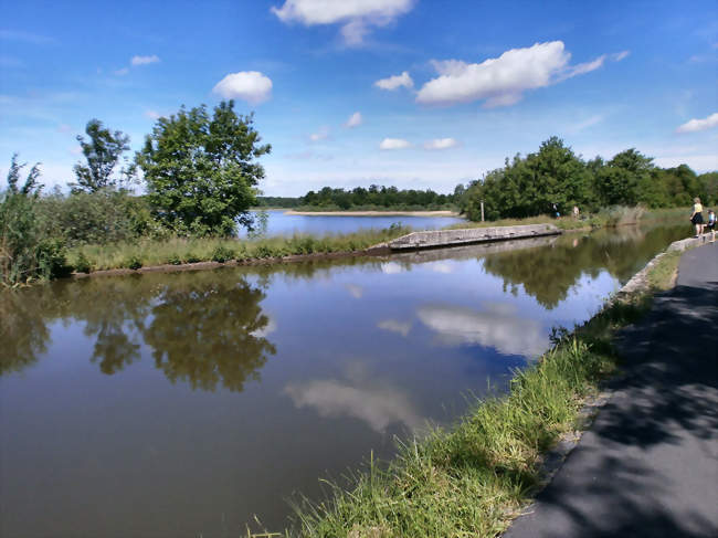 Le canal des houillères de la Sarre à Mittersheim - Mittersheim (57930) - Moselle