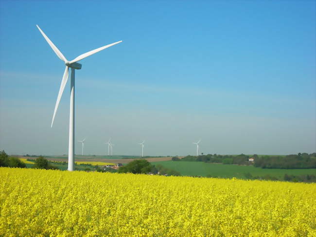 Le village et les éoliennes - Niedervisse (57220) - Moselle