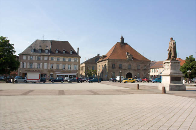 CINÉMA PHALSBOURG - LES AVENTURIERS DE L'ARCHE DE NOÉ