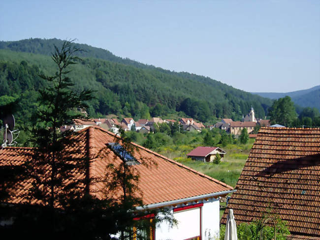 Vue du village et de la vallée du Falkensteinerbach - Philippsbourg (57230) - Moselle
