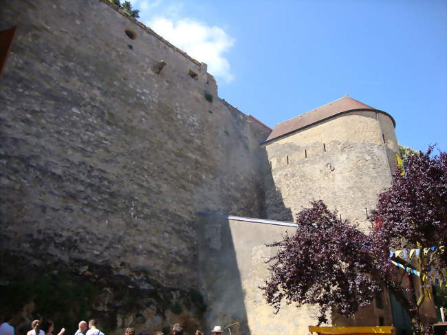 Remparts et Citadelle de Gargan - Rodemack (57570) - Moselle